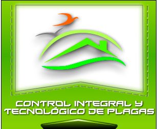 Rediseño Sitio Web