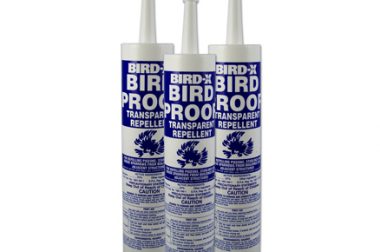 Gel repelente para palomas
