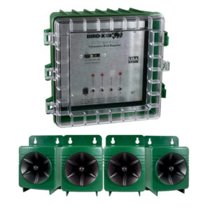 Ultrasonido Para Palomas