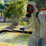 Servicio desinfeccion ambiental en Bogota